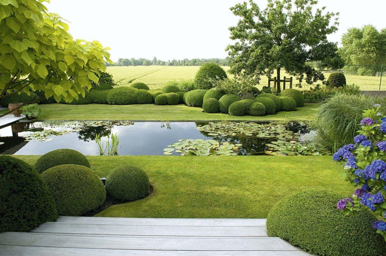 Beyond Plants: Integrating Lighting, Water Features & Architecture Outdoors